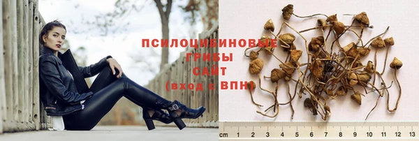дживик Верея