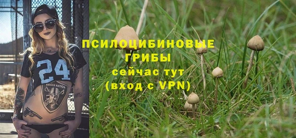 винт Бугульма