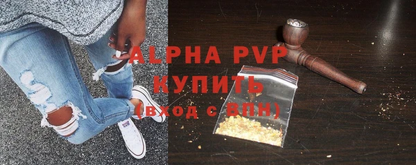 молекула духа Надым